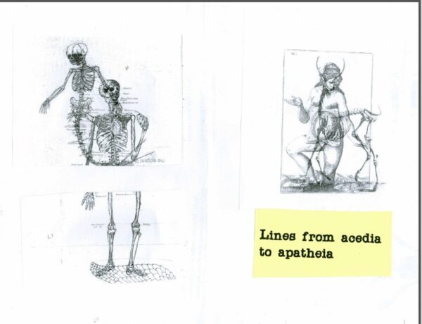 Instant download Lines from Acedia to Apatheia Zine download PDF