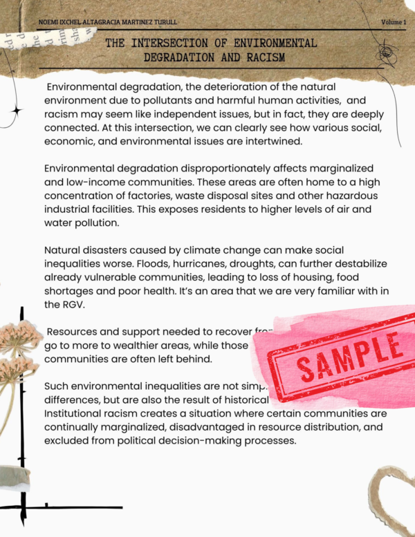 Environmental racism: Lessons with Alt Media - Image 7