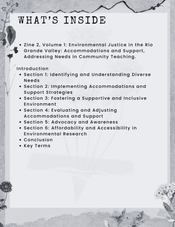 Environmental Justice in the Rio Grande Valley: Accommodations and Support zines as tools in the resistance - Image 5